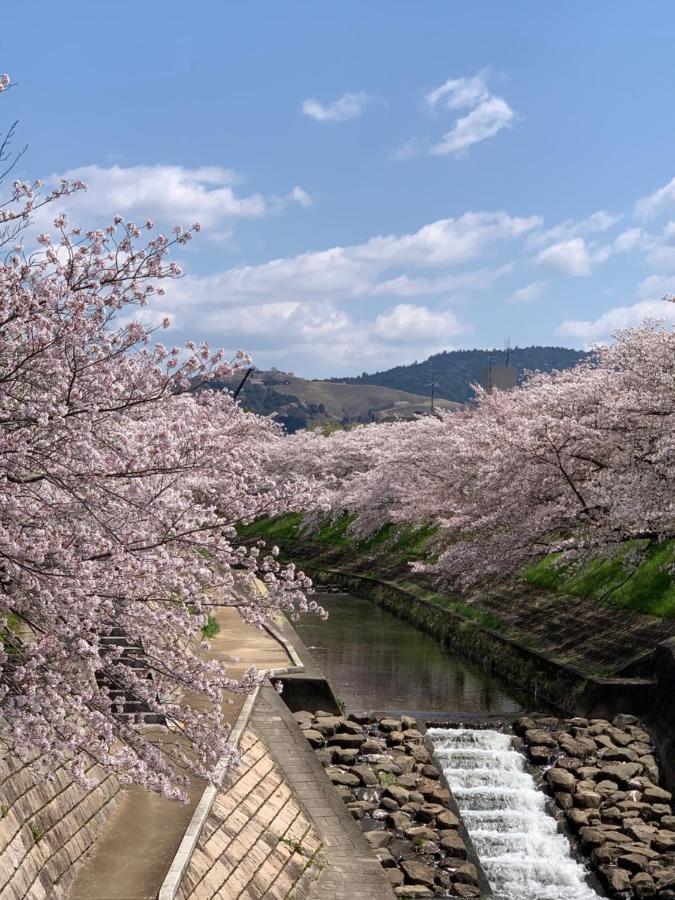 Hilo * Nara